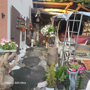 Apartament Wilhelma II