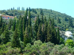 Lena Blue Sea Apartments