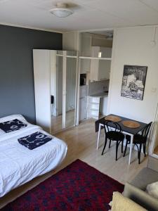 Nice city studio in Tampere