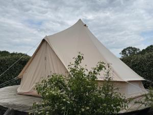 Campings La Buissonniere Lodges : Tente