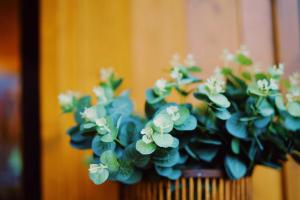 Stilvolles und Kunstvolles Retreat Apartment mit 400qm Garten & Massage und Ayurveda