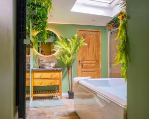 Appartements Suite jungle amour detente : photos des chambres