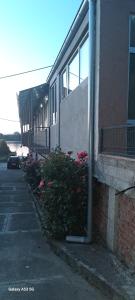 Sobe i apartmani "Terasa"