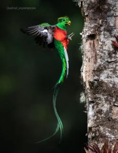 Hotel de Montaña Gema del Bosque