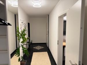 Black Suite 13 - Design-Apartment