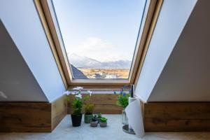 Forest oasis - mountain attic in High Tatras