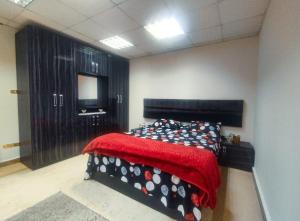 Private Room in Shared Apartment with Host- Heliopolis