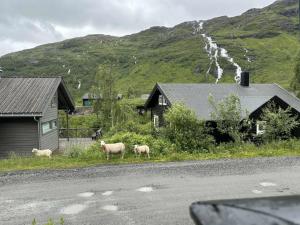 Ski in ski out mountain apartment