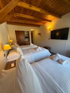 Hosteria Las Walkirias