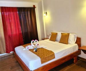 La Mirada Del Solitario George