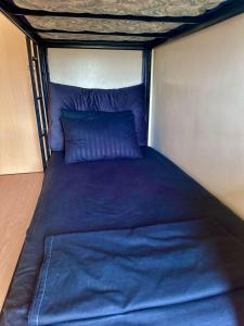 Cattleya Hearthstone