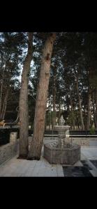 Ενοικιαζόμενα δωμάτια ΣΟΛΩΝΑΣ