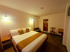 La Mirada Del Solitario George