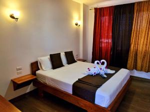 La Mirada Del Solitario George