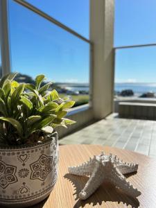 Beachfront Oceanic 5