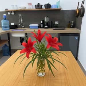 Casa Eden - Modern Peaceful Jungle Apartments