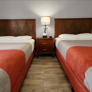Deluxe Queen Room - Non-Smoking room in Motel 6-Canon City CO
