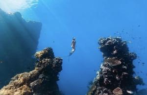 Pondok Shindu Guest House