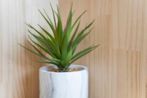 Asakusa 5 Chome One Bedroom KazeNoItsu 101