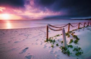 Agriturismo Le Mimose img2