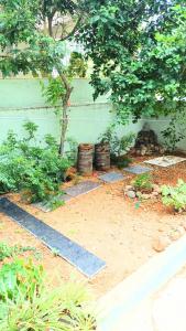 package stay,transport,sightseeing