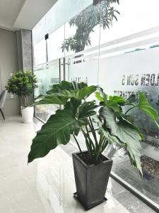 Golden Sun Hotel Apartments 5