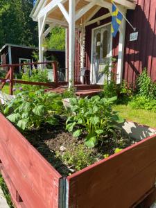 Kleines Haus in Schweden