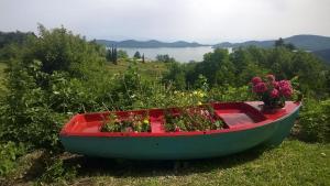 Guesthouse Mitsiopoulou