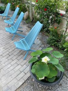 Biệt thự biển có bể bơi Sea Sing Villa