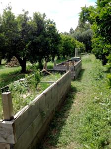 Luna&Limoni Country img26