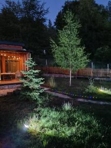 Wooden Mountain Villa