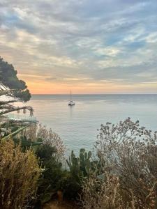 appartement Cavalaire face à la mer