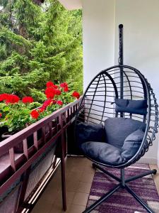 Apartament Sieroszewskiego