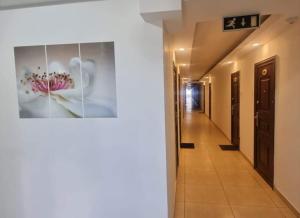 Garsonieră Sofia Residence Saturn