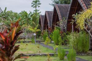 The Sweet Corn Bungalow