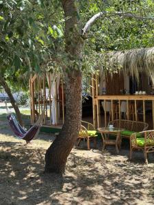 Каравана Бамбоо