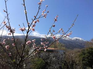 Akamatis Giorgos Nisos-Samothraki Greece