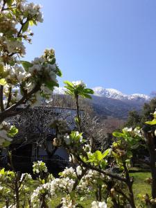 Akamatis Giorgos Nisos-Samothraki Greece