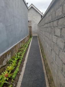 Ananda II Homestay Tegallalang-Ubud