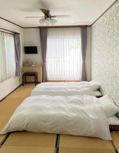 Diplomat House very close to JR Station