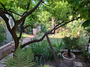 Tranquil, calm garden studio with spa pool
