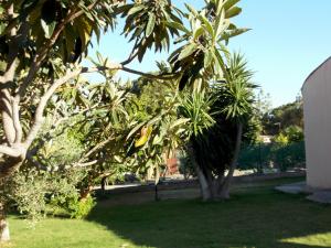 Villa Gabriella img72