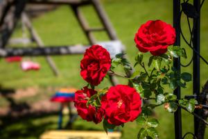 Ferienhaus Oberpremgut