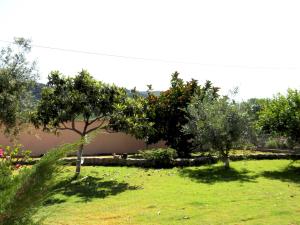 Villa Gabriella img67