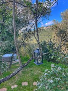 Appartements Samadhi - gite avec jardin, SPA, clim, parking prive : photos des chambres