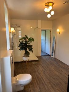 De Drentse Rust - Het Atelier