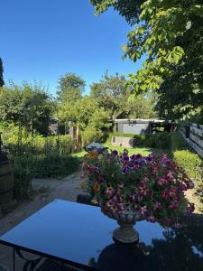 De Drentse Rust - Het Atelier