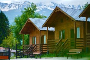Mountain Cabins