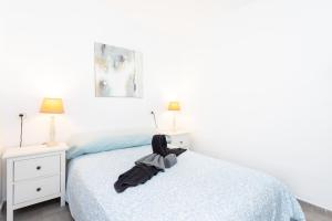 EK Puertito de Guimar Five Family