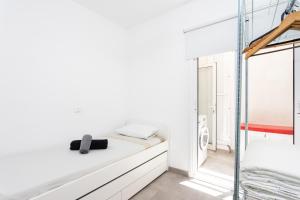 EK Puertito de Guimar Five Family